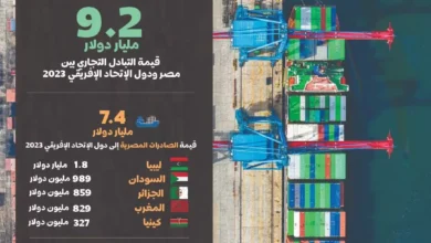 بمناسبة-الاحتفال-بيوم-الإحصاء-الأفريقي-الاحصاء:-15.6%-زيادة-الصادرات-بين-مصر-ودول-الاتحاد-الافريقي-عام-2023